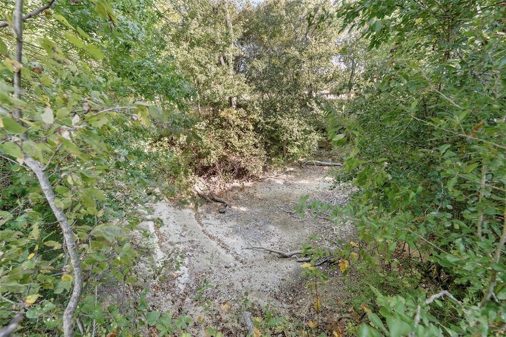 510 North D Ranch Road Waxahachie, TX 75167 - Photo 36 of 38 a view of a forest with a tree