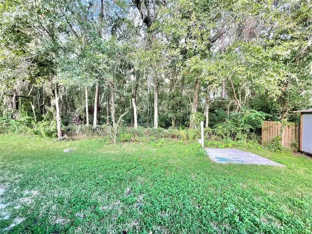 a view of a backyard with large trees