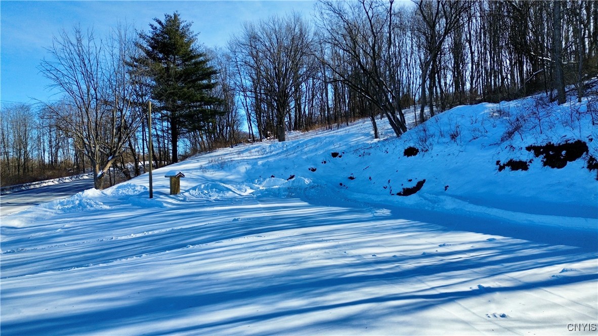 3170 State Route Fort Plain, NY 13339 - Photo 3 of 8