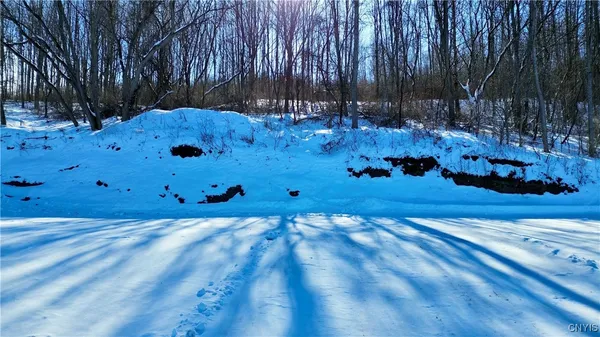$49,900 | 3170 State Route, Fort Plain, NY 13339