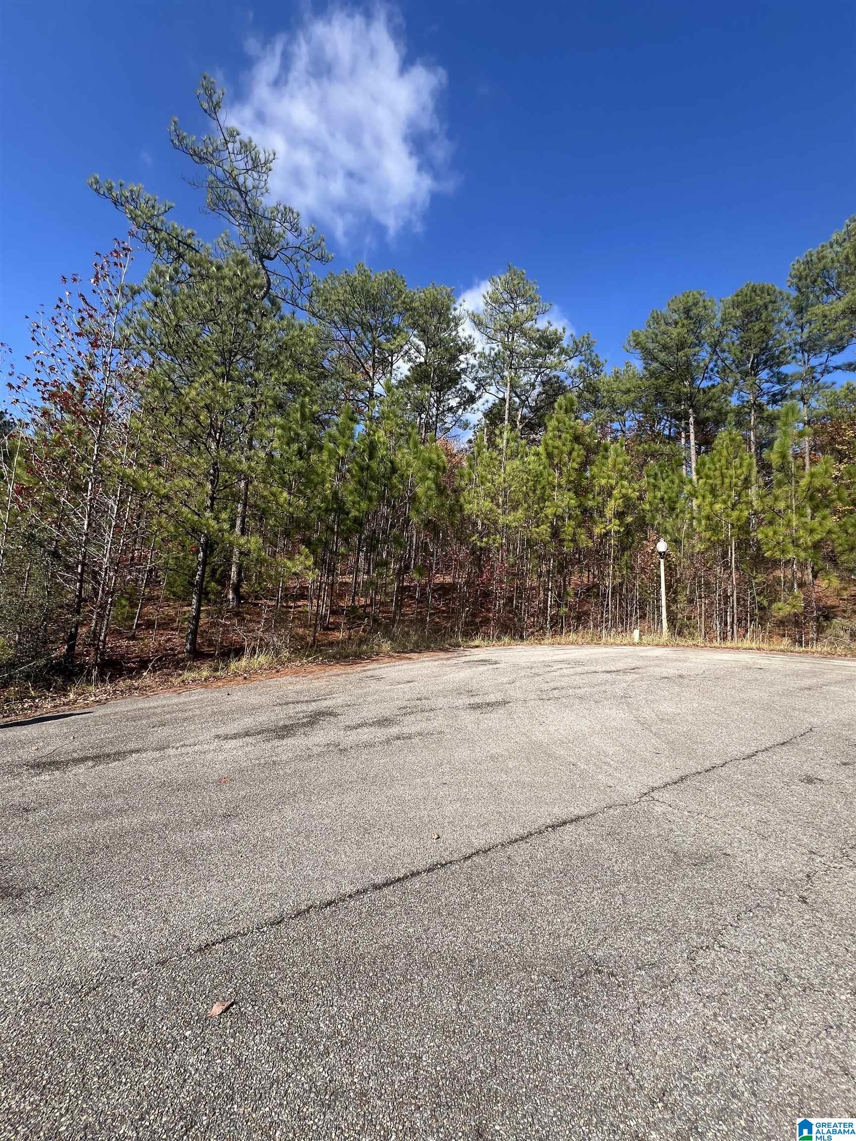 153 Shetland Trail, Unit 201 Alabaster, AL 35007 - Photo 2 of 4