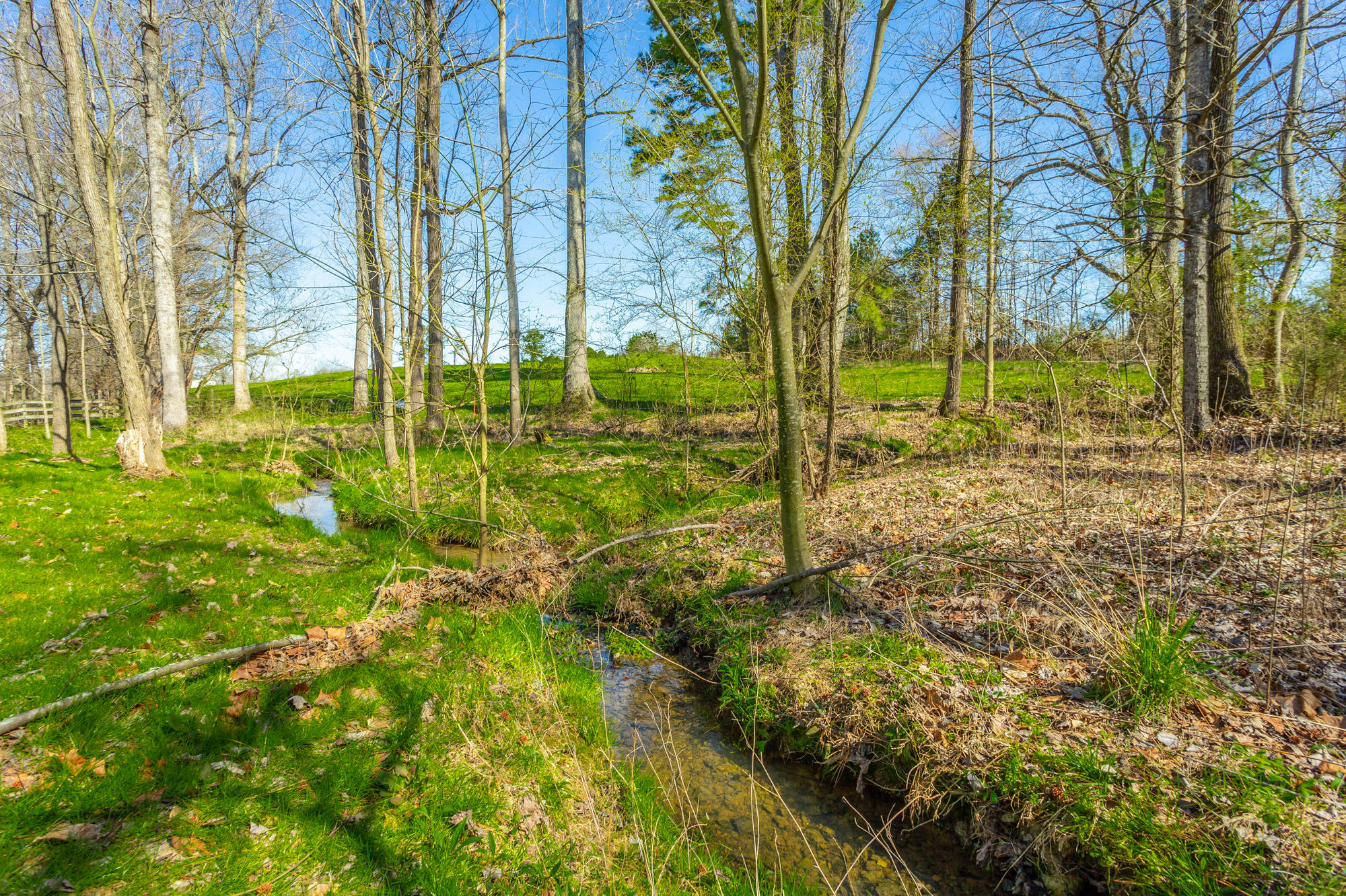 1315 Lake Howard Road LaFayette, GA 30728 - Photo 23 of 40 Creek