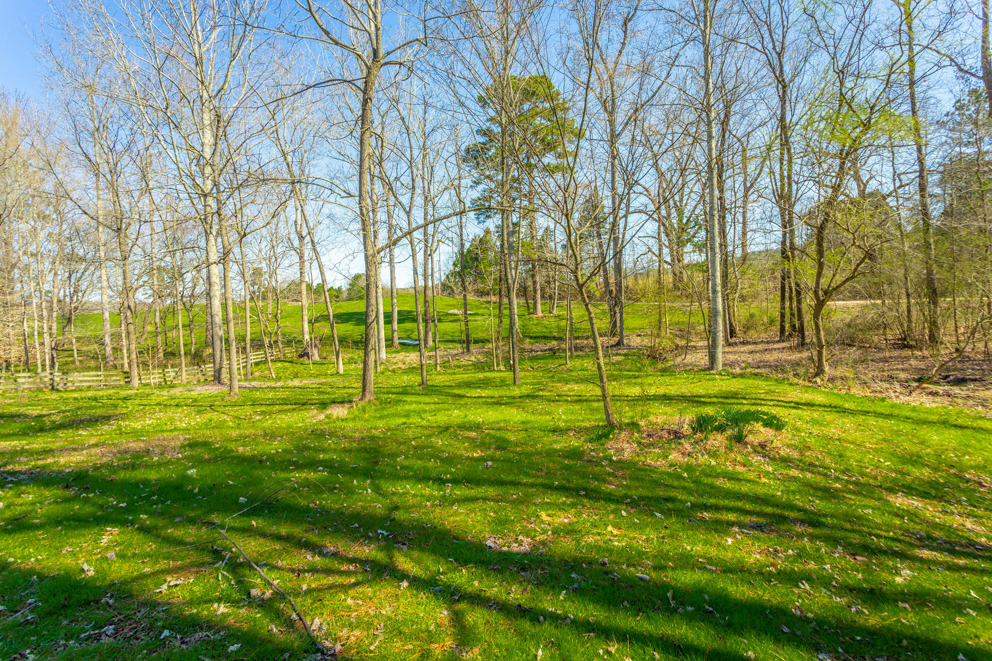 1315 Lake Howard Road LaFayette, GA 30728 - Photo 24 of 40 Back Yard