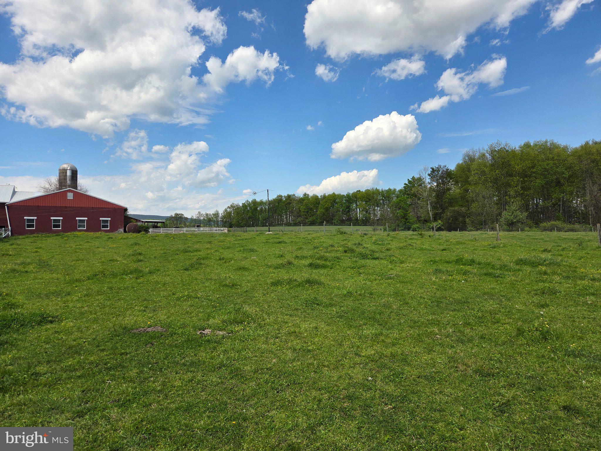 1010 Adams Grove Road Blain, PA 17006 - Photo 73 of 92 Vibrant fields under a blue sky.