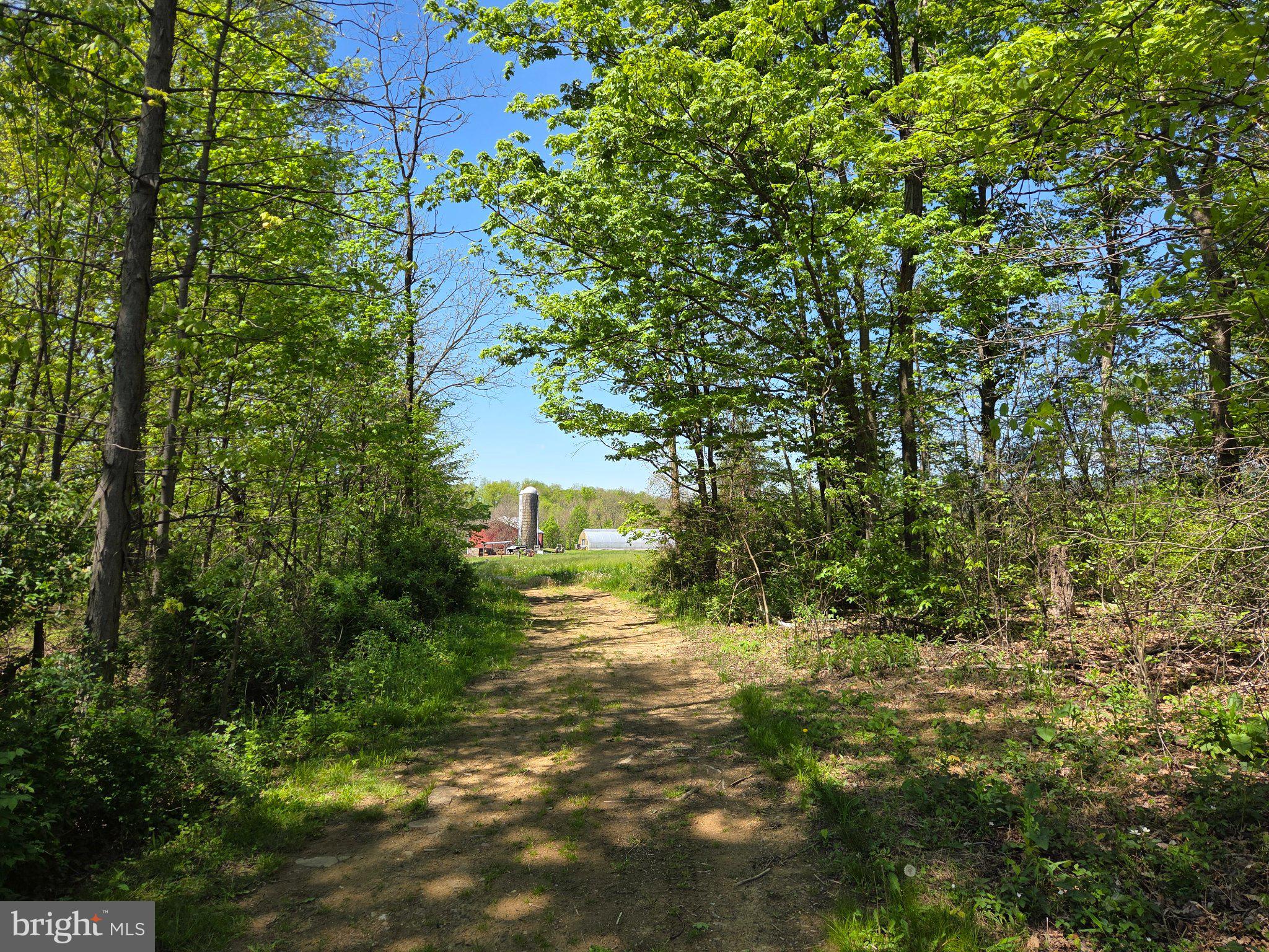 1010 Adams Grove Road Blain, PA 17006 - Photo 78 of 92 Pathway to pastoral serenity.