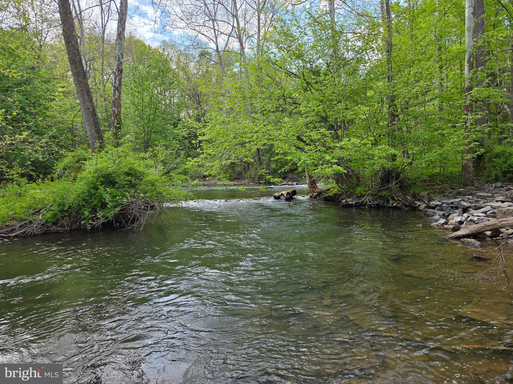 1010 Adams Grove Road Blain, PA 17006 - Photo 85 of 92 Serene stream in lush greenery.