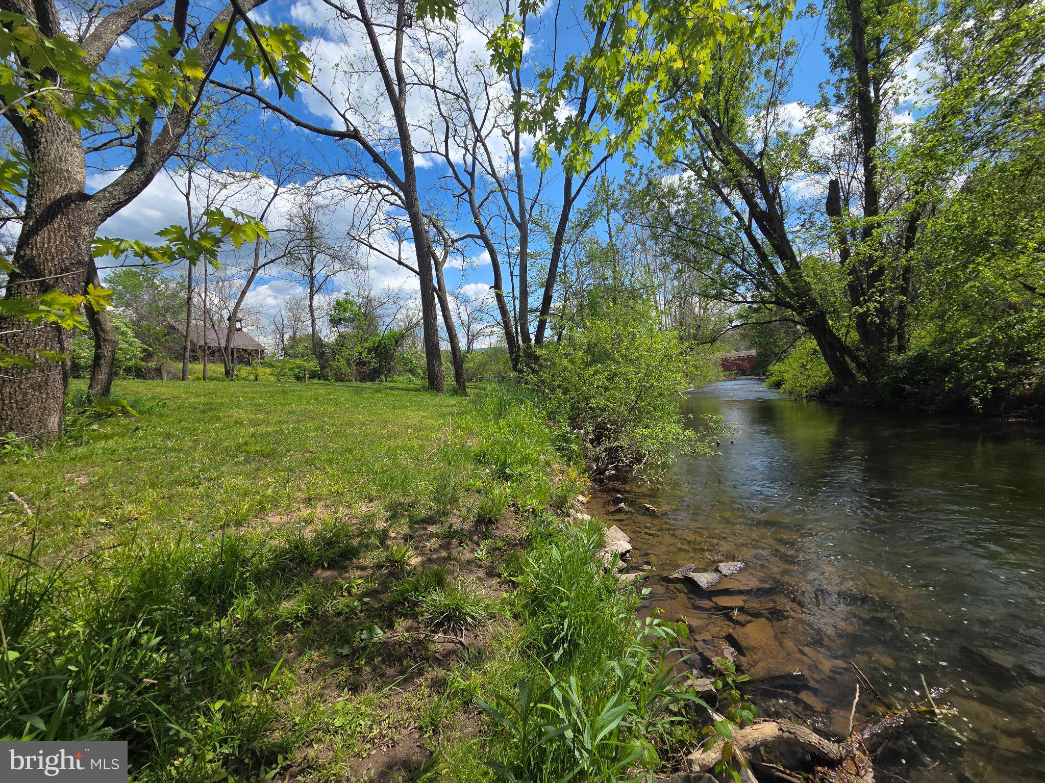 1010 Adams Grove Road Blain, PA 17006 - Photo 86 of 92 Tranquil riverside retreat in spring.