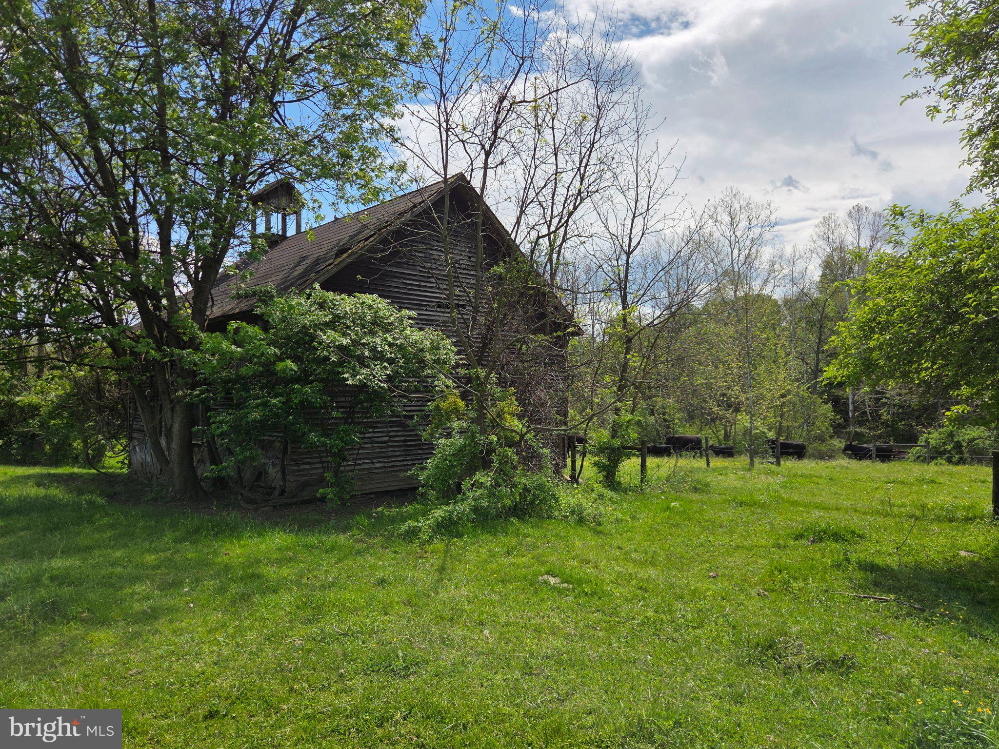 1010 Adams Grove Road Blain, PA 17006 - Photo 89 of 92 Charming rustic retreat in nature.