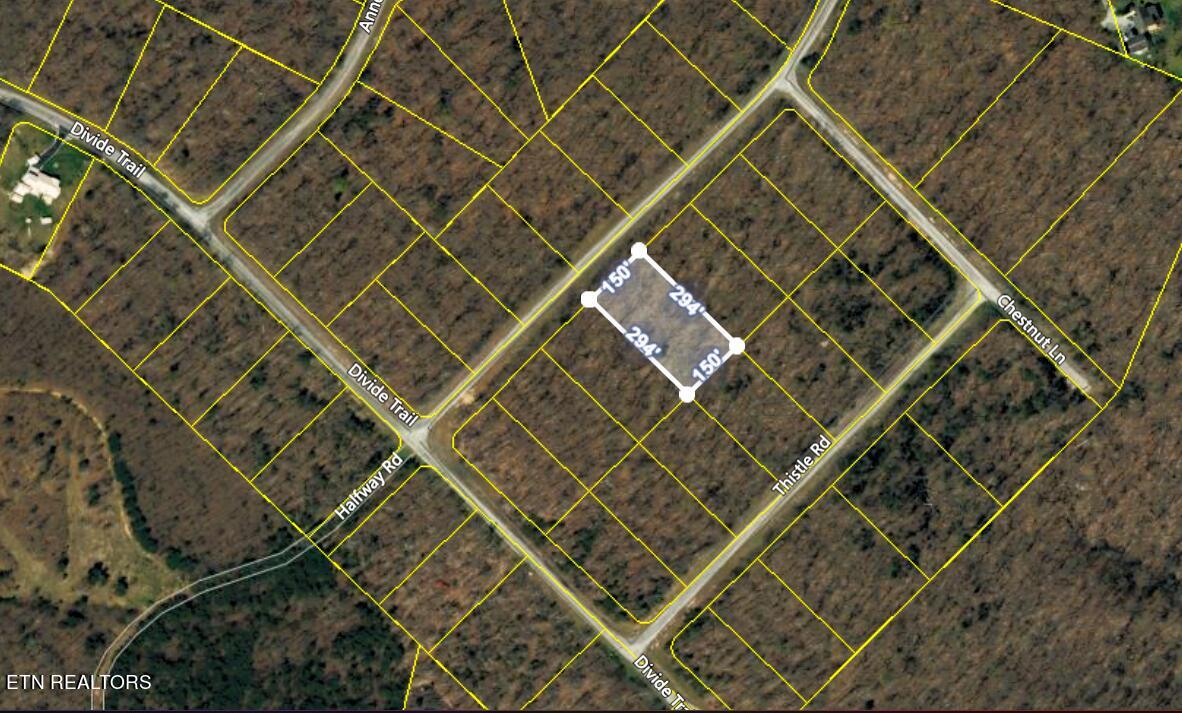 Lot 12 Halfway Road Monterey, TN 38574 - Photo 3 of 18 Screenshot (318)