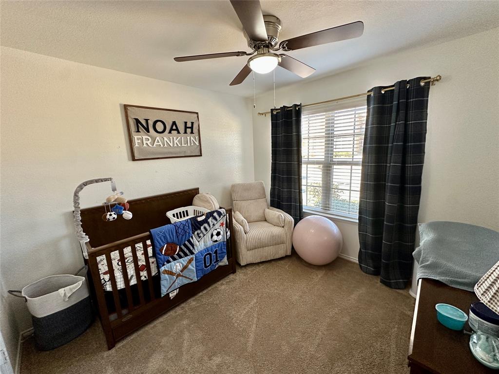3003 Rosemount Lane Crandall, TX 75114 - Photo 21 of 27