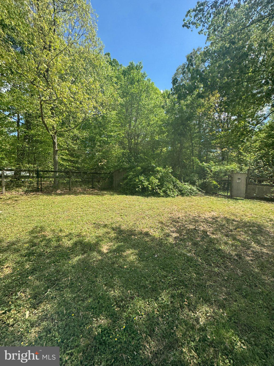 42249 St Johns Road Leonardtown, MD 20650 - Photo 12 of 15 Lush green oasis in a serene setting.