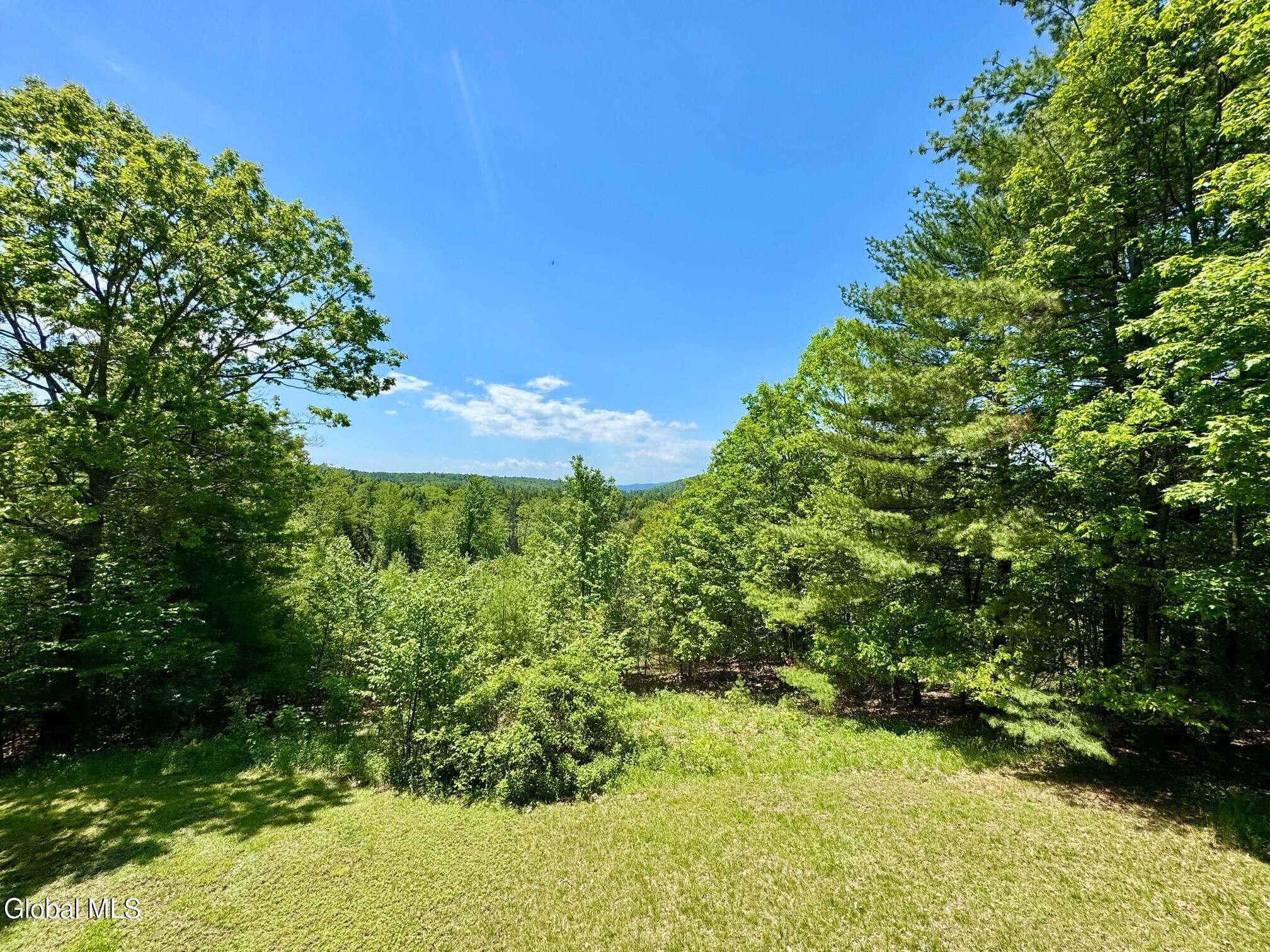 17 Ridgecrest Way Whitehall, NY 12887 - Photo 9 of 56 Doug 4