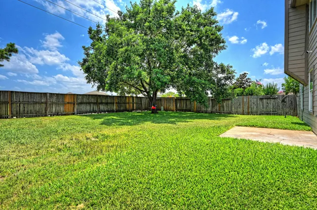 a view of a yard with a large tree and wooden fence