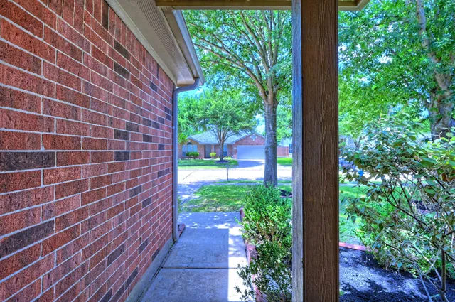 a view of a backyard with potted plants