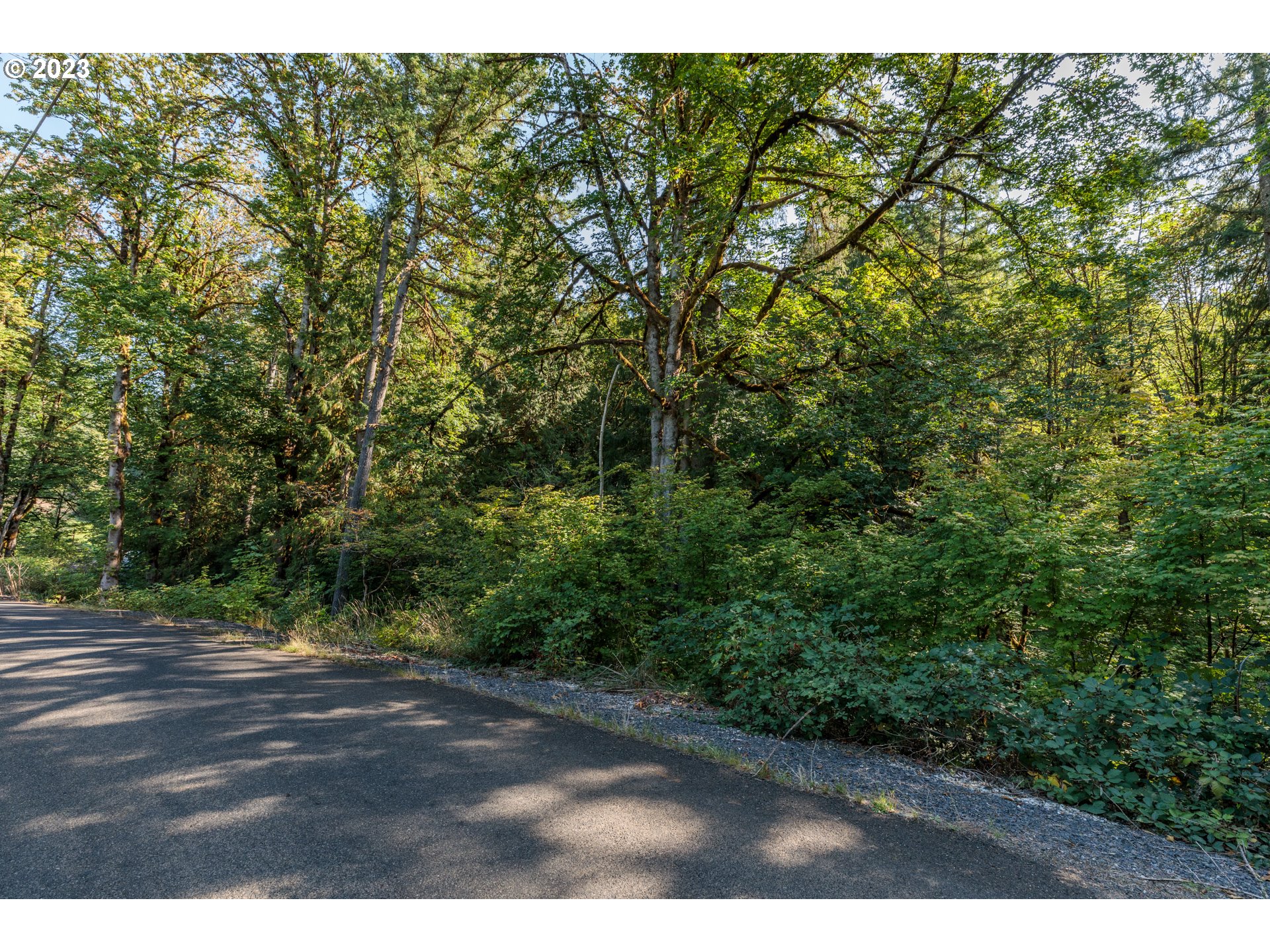 Armstrong Road, Unit 101 Scappoose, OR 97056 - Photo 3 of 8 a view of a yard with plants and large trees