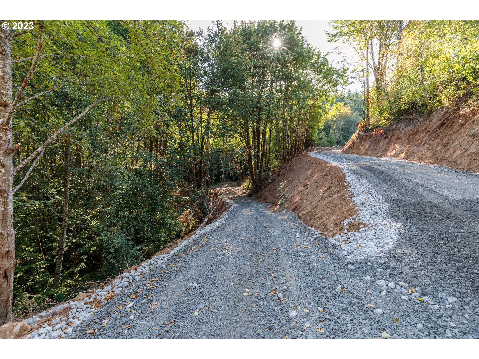 Armstrong Road, Unit 101 Scappoose, OR 97056 - Photo 4 of 8 a view of a dry yard with trees
