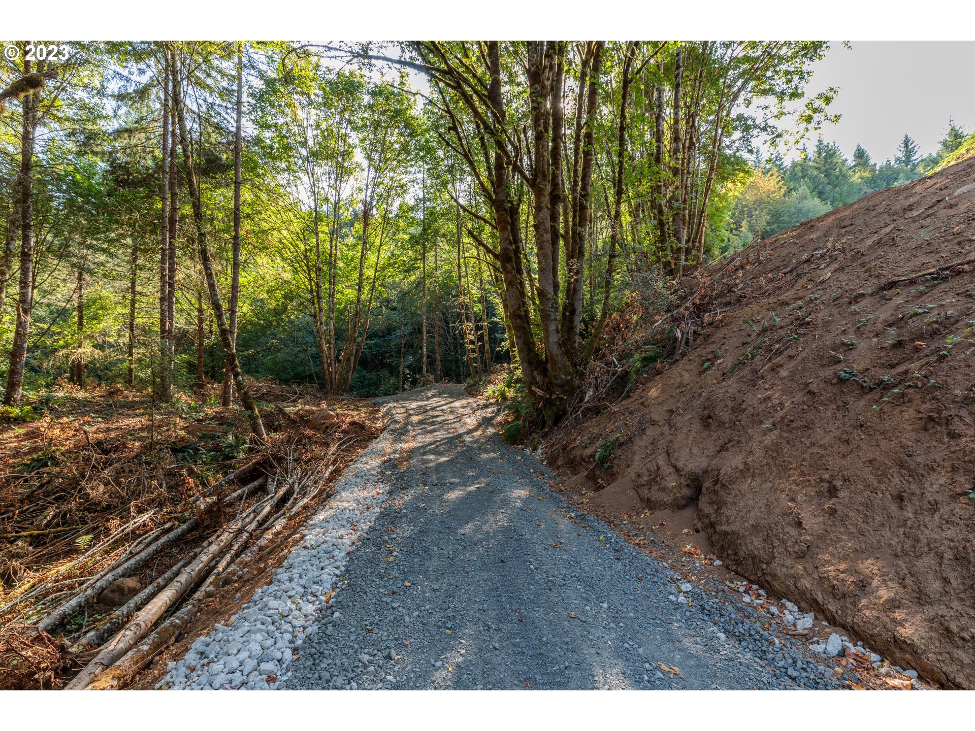 Armstrong Road, Unit 101 Scappoose, OR 97056 - Photo 5 of 8 a view of a yard with plants and trees