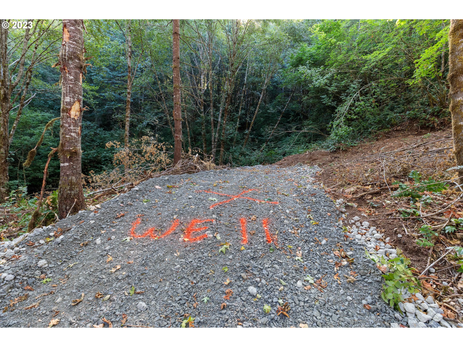 Armstrong Road, Unit 101 Scappoose, OR 97056 - Photo 6 of 8 a backyard of a house with lots of green space