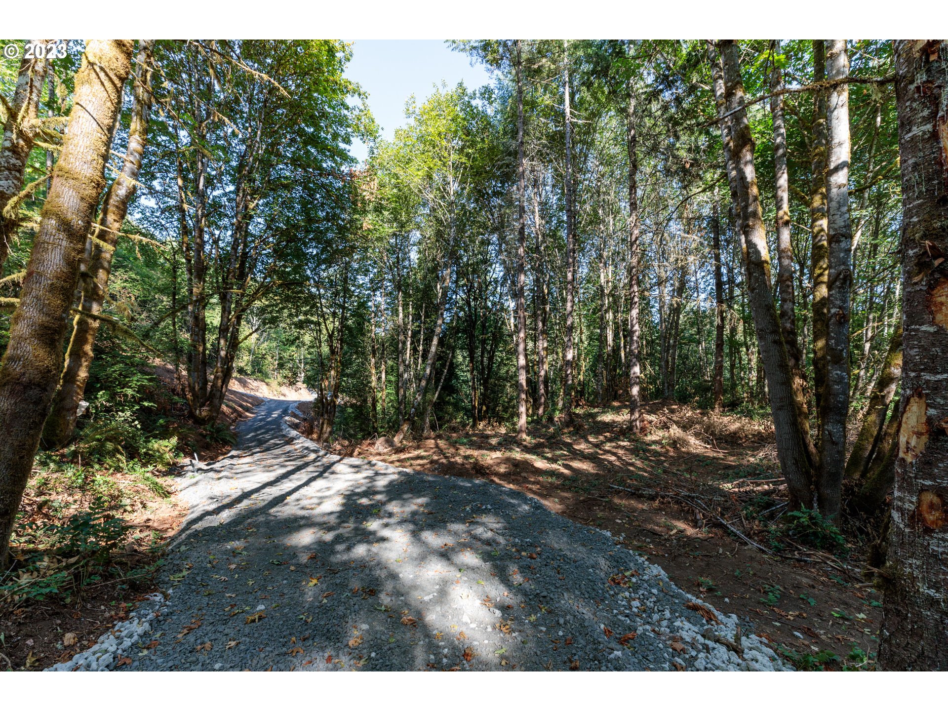 Armstrong Road, Unit 101 Scappoose, OR 97056 - Photo 7 of 8 a view of outdoor space and yard
