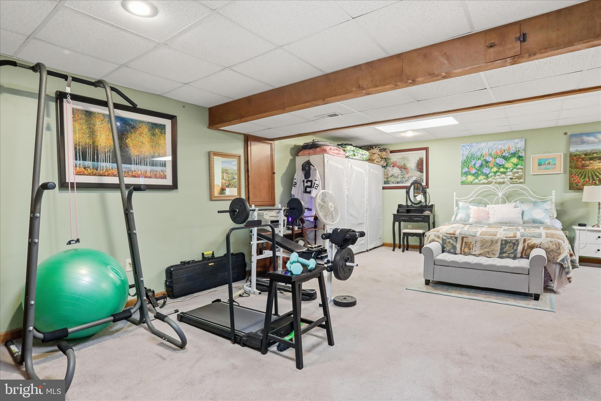126 Cliffside Road Linden, VA 22642 - Photo 20 of 49 Basement Great Room with Walk-Out to Yard
