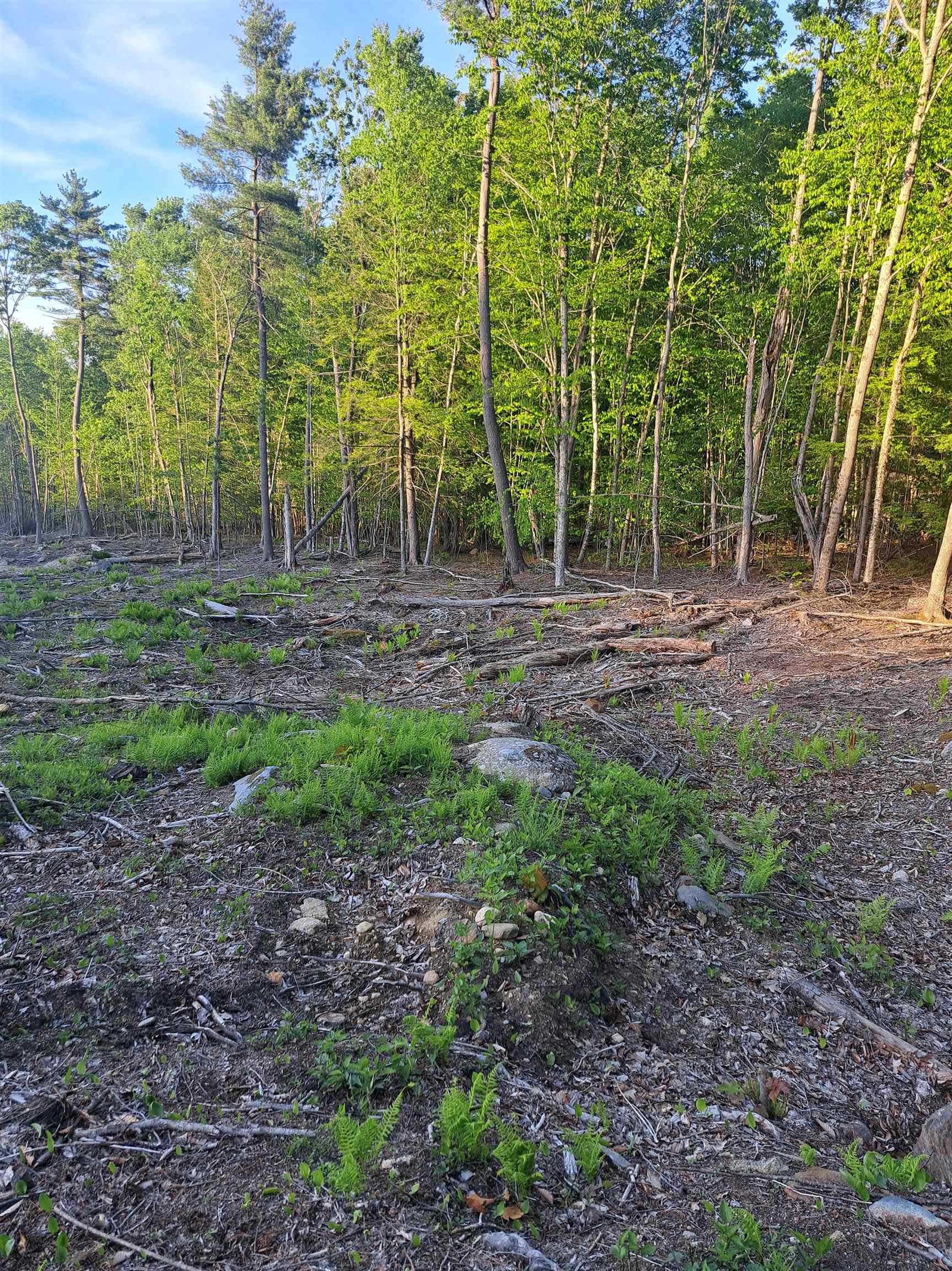 140 Great Road Jaffrey, NH 03452 - Photo 11 of 11