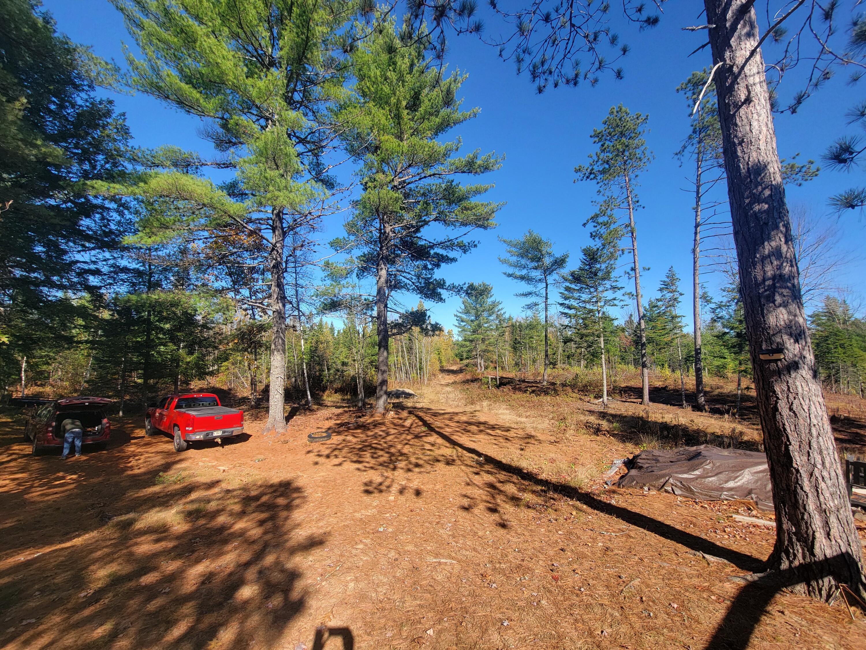 Lot 20 Town Farm Road Greenbush, ME 04418 - Photo 8 of 67 20241018_122001