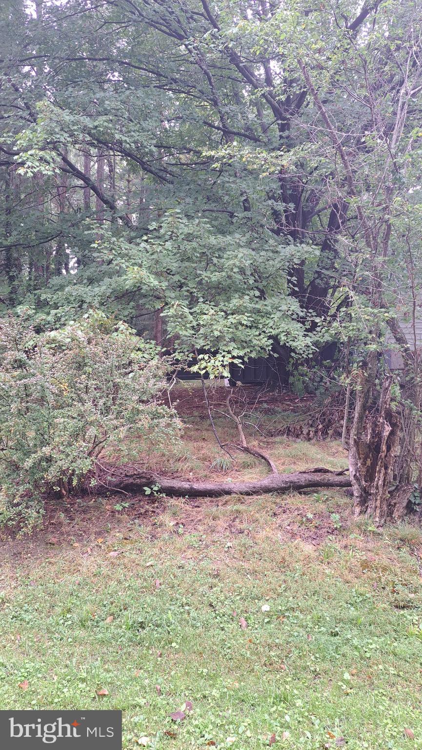 4401 East Joppa Road Perry Hall, MD 21236 - Photo 21 of 32 a view of a yard with a tree