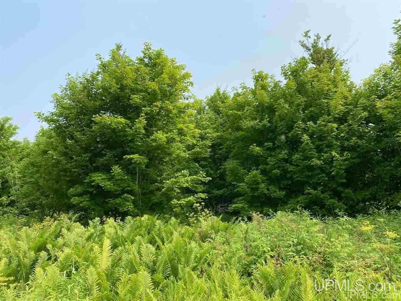 Tbd Southside Road Manistique, MI 49854 - Photo 30 of 36 Gallery Image 30