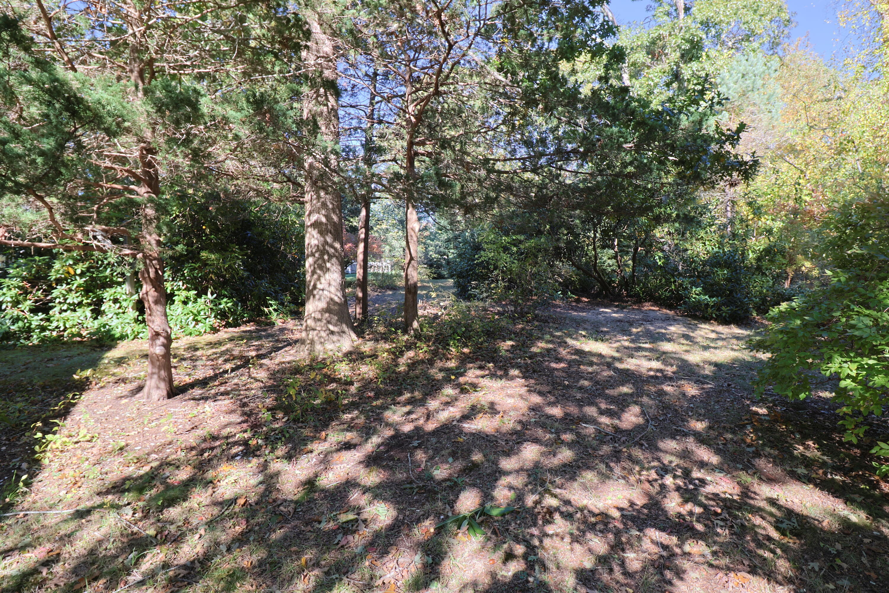 42 Robbins Circle Dennis, MA 02638 - Photo 43 of 46 a backyard of a house with lots of green space