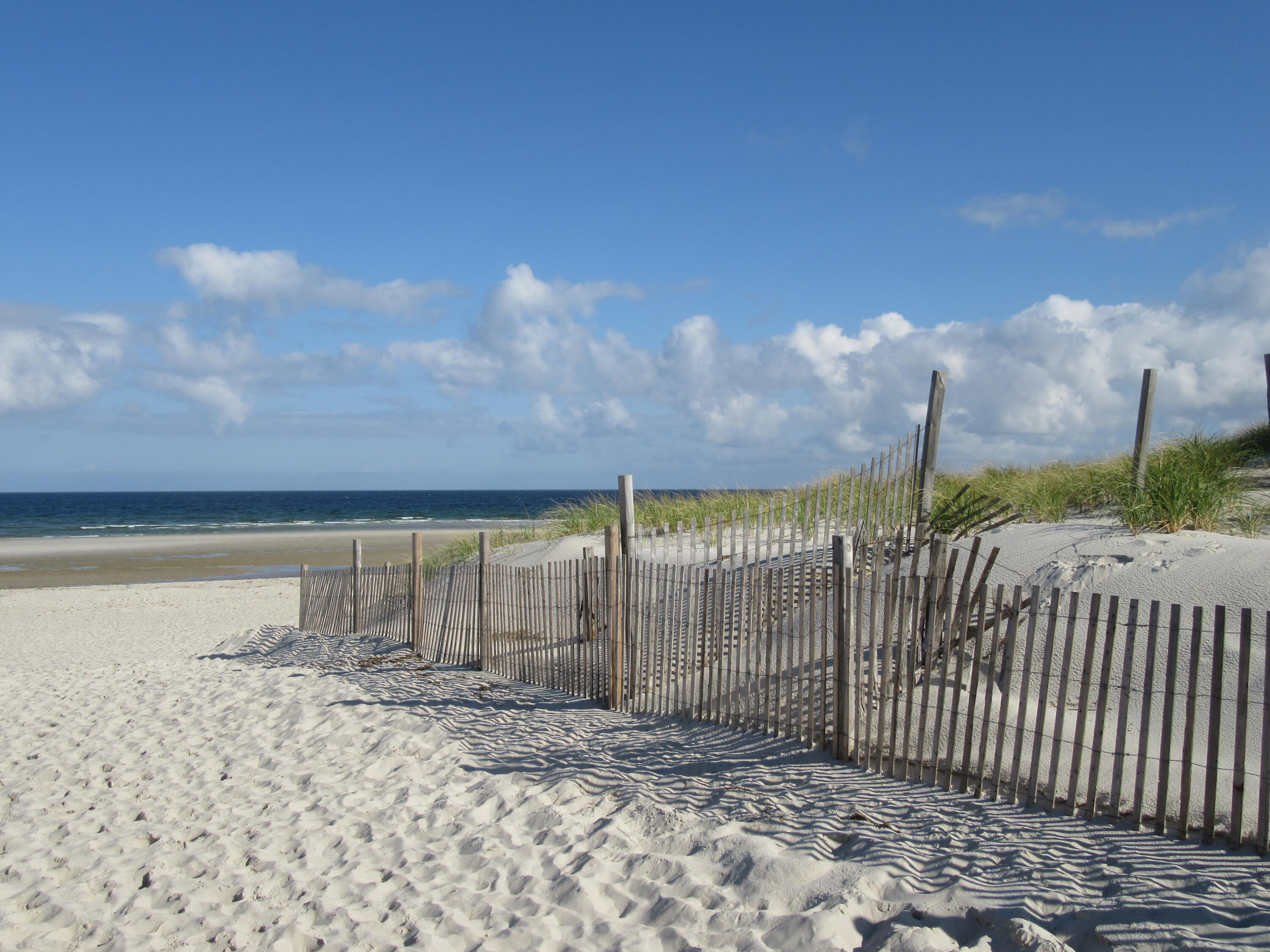 42 Robbins Circle Dennis, MA 02638 - Photo 46 of 46