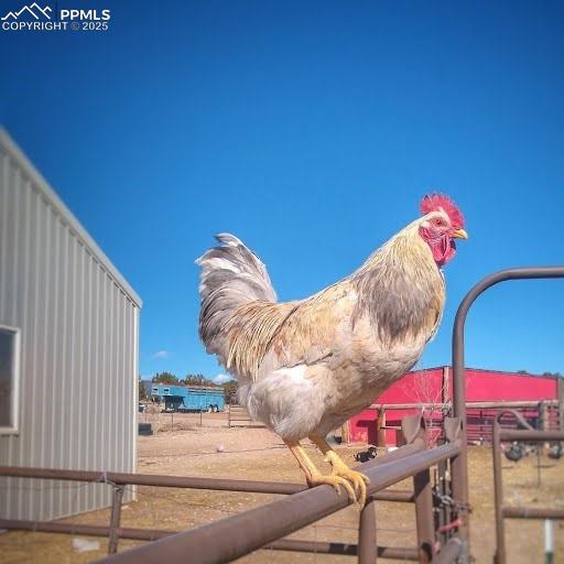 770 Cedar Hills Road Penrose, CO 81240 - Photo 47 of 49 a view of balcony with patio