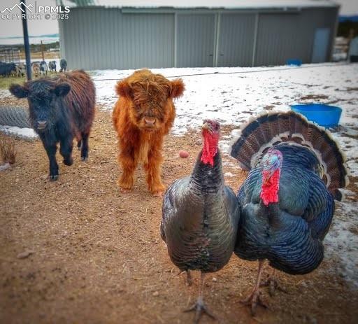 770 Cedar Hills Road Penrose, CO 81240 - Photo 49 of 49 a view of a fireplace