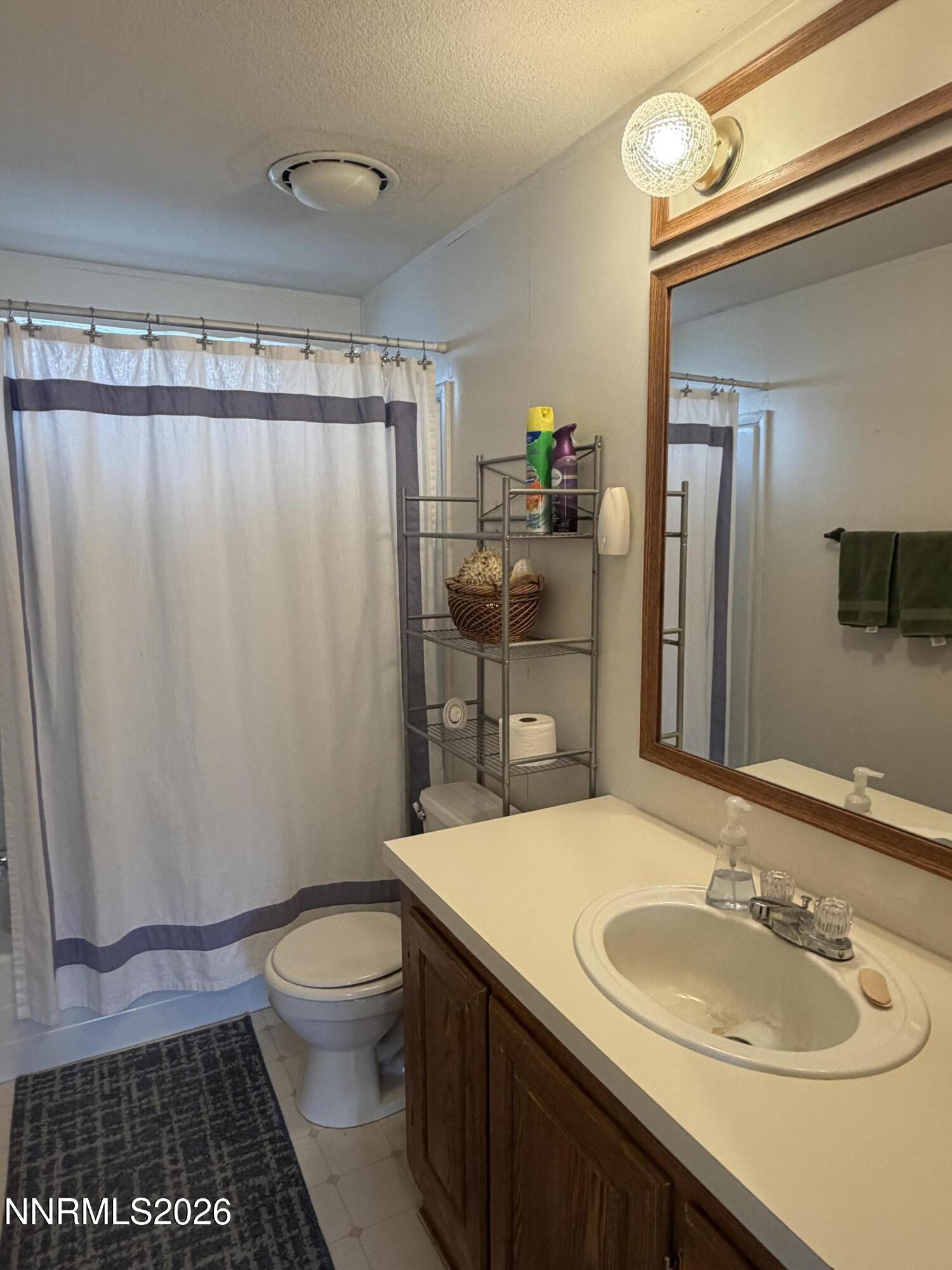 3920 Sandstone Drive Topaz Ranch Estates, NV 89444 - Photo 17 of 20 a bathroom with a sink toilet and shower