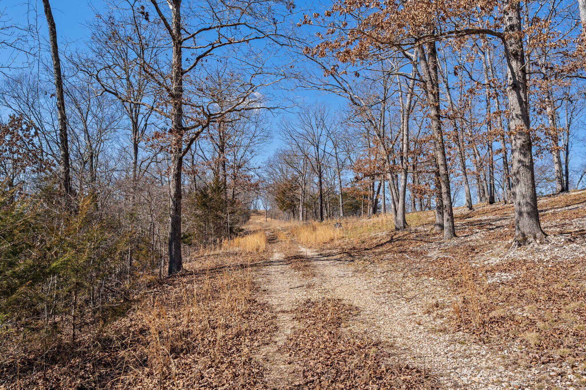 0 Long Bend Road Galena, MO 65656 - Photo 51 of 57 Long Bend Road (30)