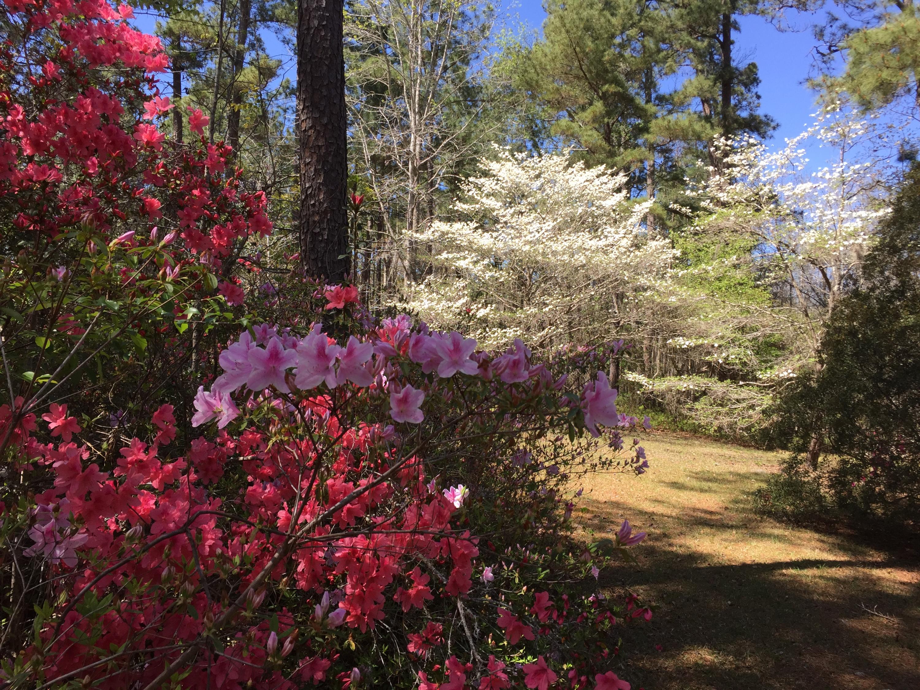 1201 Creek Road Lake City, SC 29560 - Photo 20 of 46 IMG_2072
