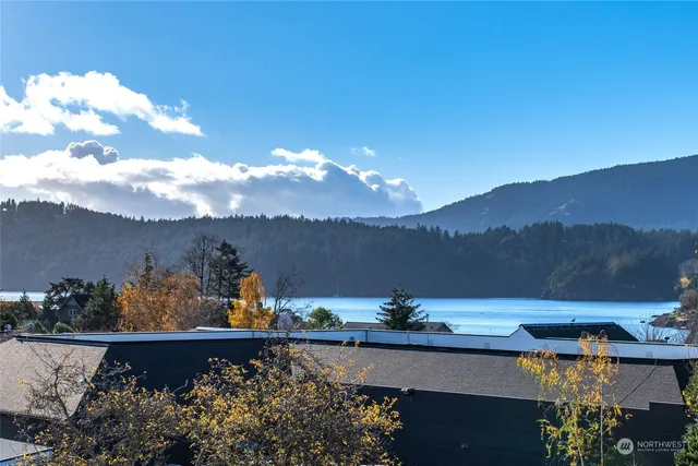 $1,098,000 | 231 Madrona Street, Unit 5, Orcas Island, WA 98245