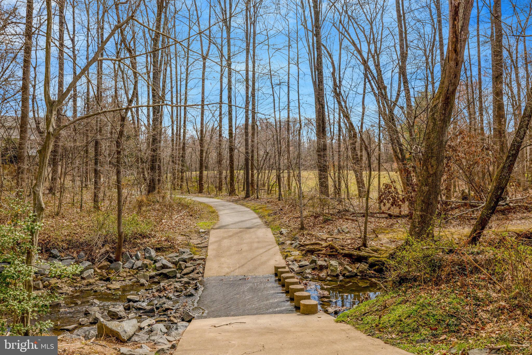 12513 Ridgegate Drive Herndon, VA 20170 - Photo 69 of 72 a view of a backyard