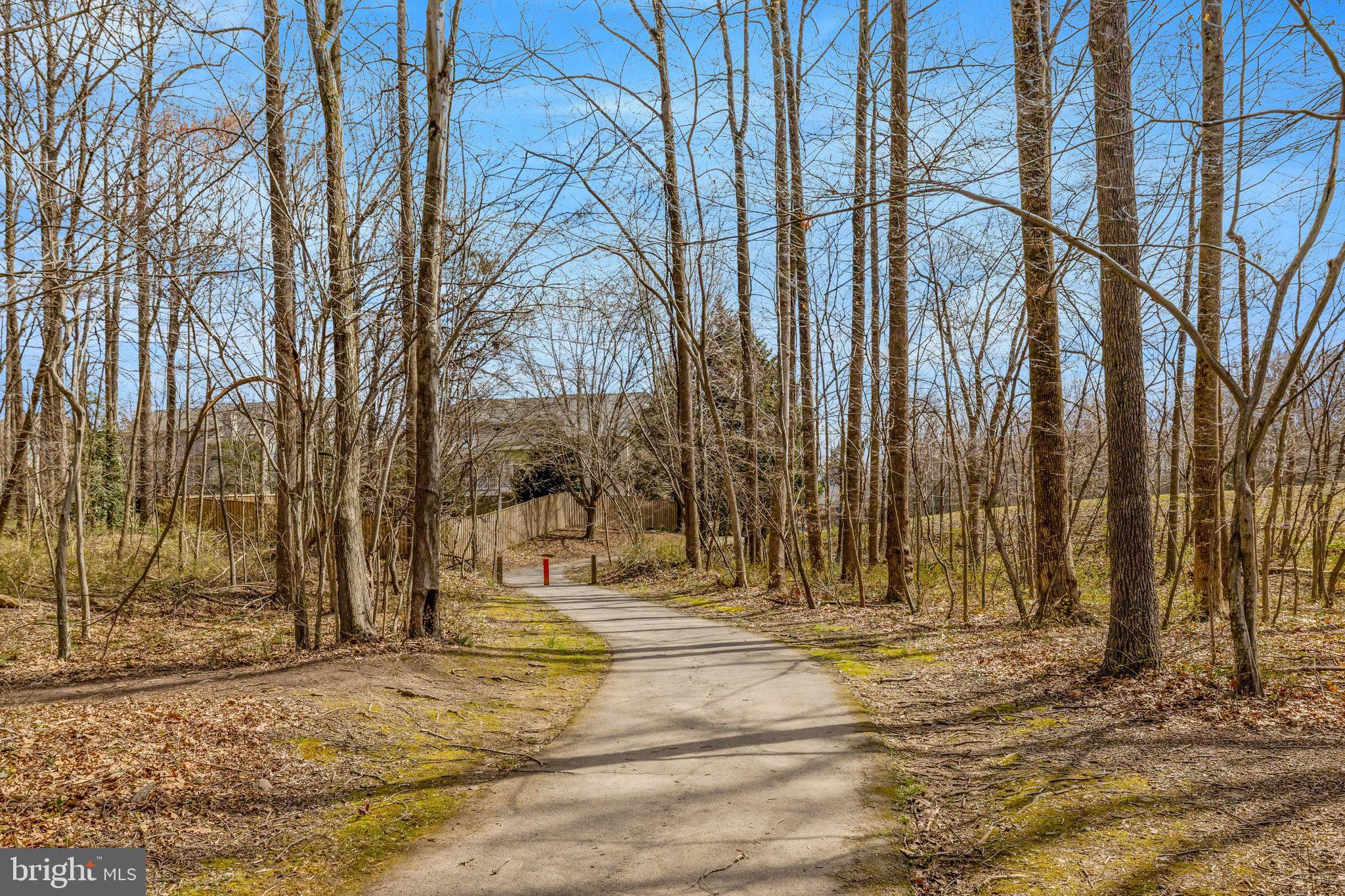 12513 Ridgegate Drive Herndon, VA 20170 - Photo 70 of 72 a view of park with large trees