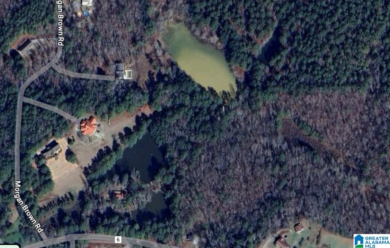 0 Sanie Road Odenville, AL 35120 - Photo 1 of 1