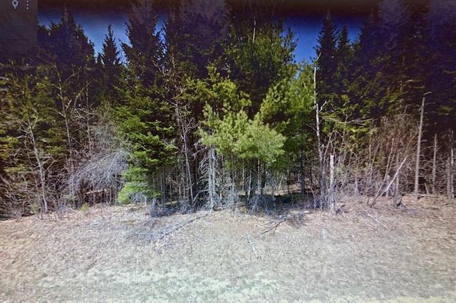 41 Hunter Hill Road Durham, ME 04222 - Photo 2 of 2 IMG_4966