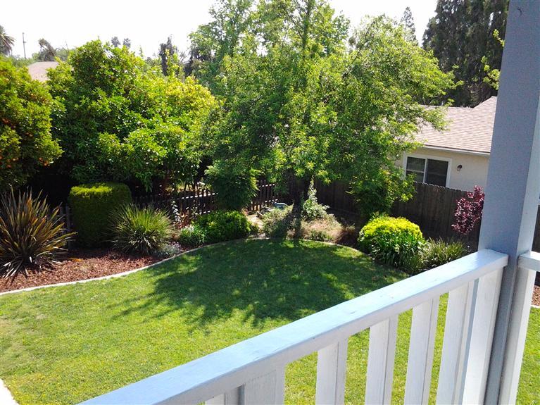 1111 K Street Reedley, CA 93654 - Photo 9 of 69