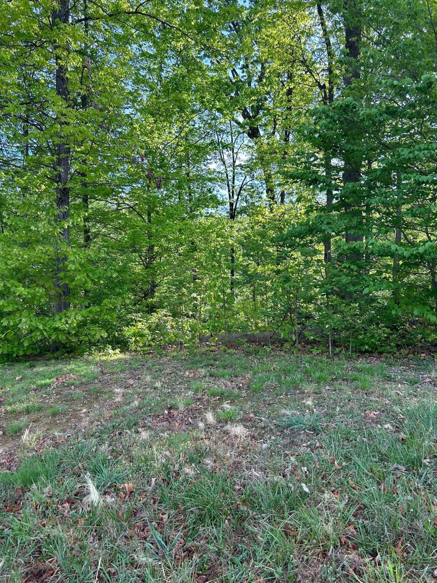 Lot 12 Ridge Park Drive Northeast Cleveland, TN 37312 - Photo 2 of 6 Ridge Park 1