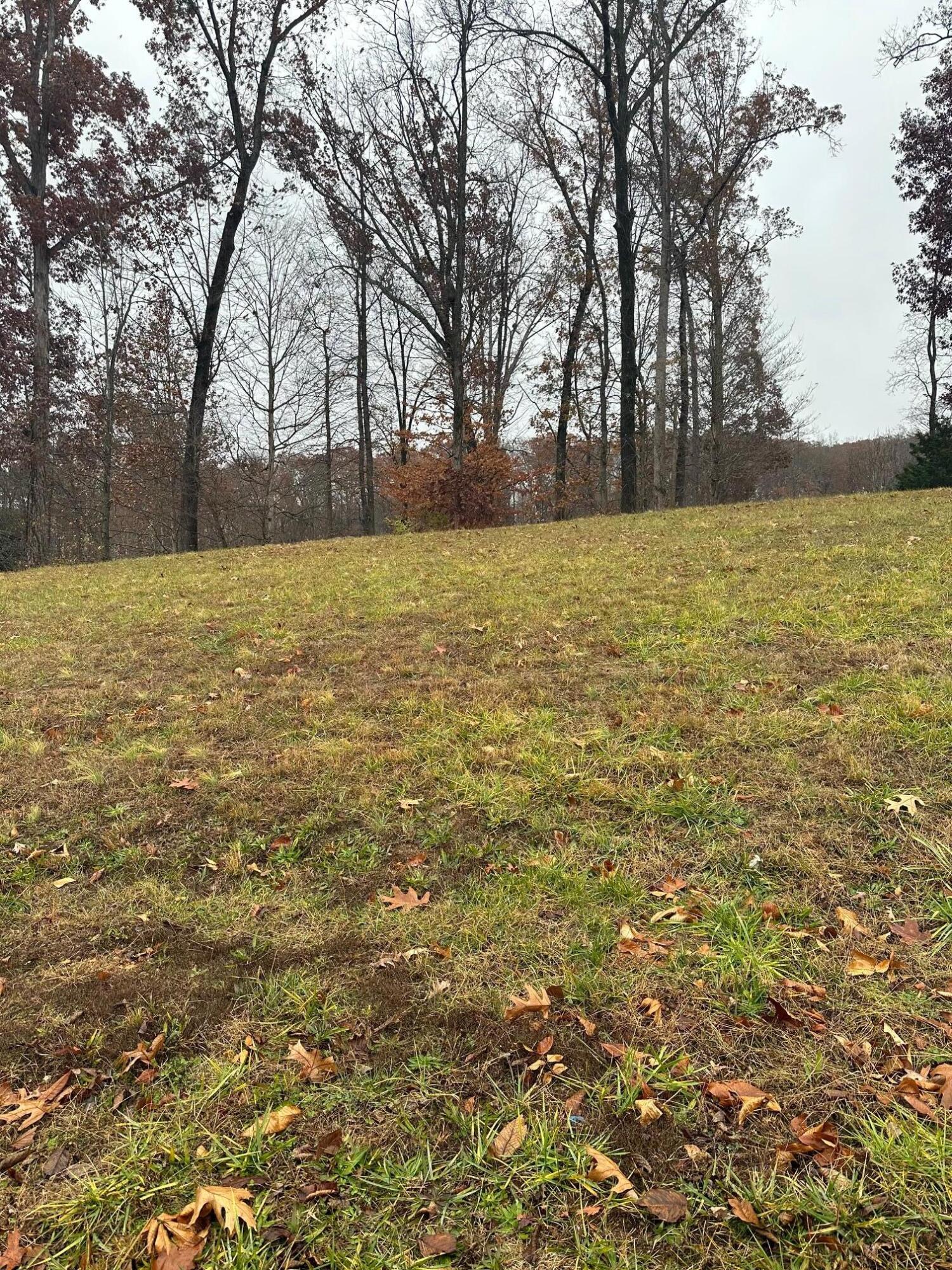 Lot 12 Ridge Park Drive Northeast Cleveland, TN 37312 - Photo 4 of 6 rp2