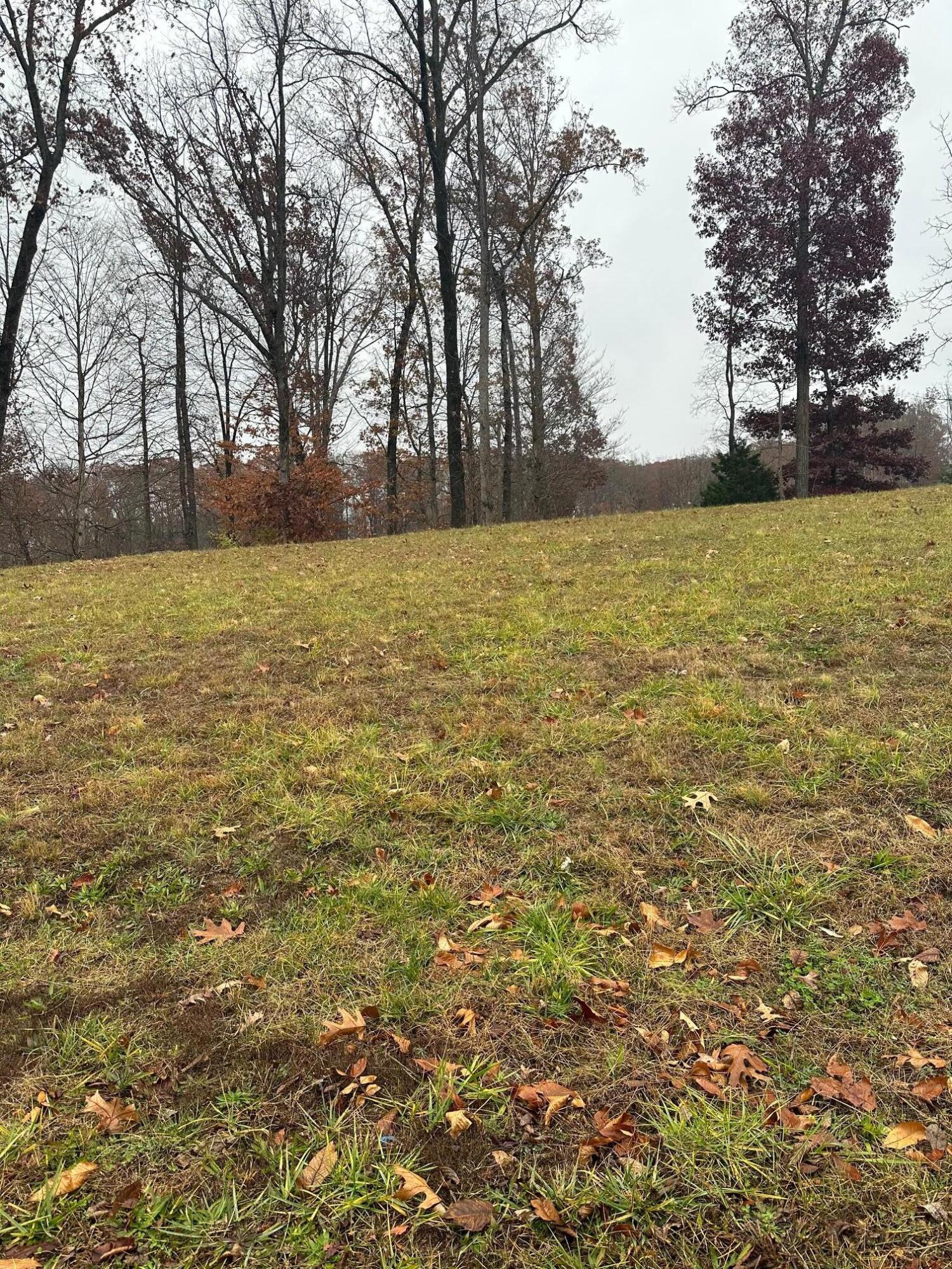 Lot 12 Ridge Park Drive Northeast Cleveland, TN 37312 - Photo 6 of 6 rp4