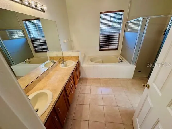 a bathroom with a tub sink and mirror