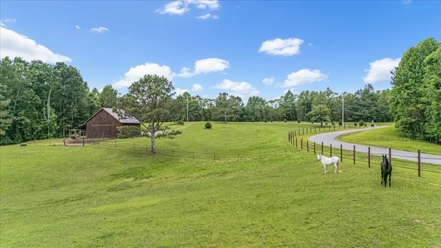an aerial view of residential houses with outdoor space and trees
