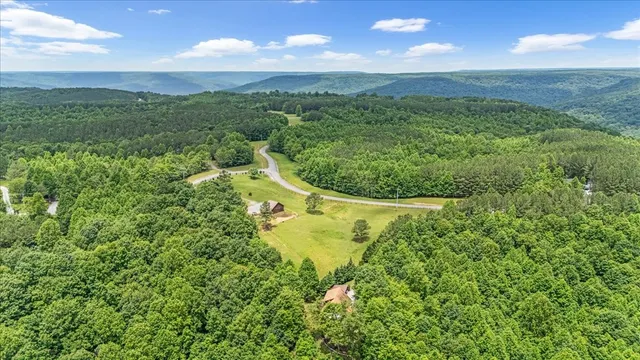 a view of a yard in a garden