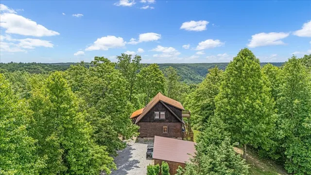 a brick house with a small yard plants and large tree