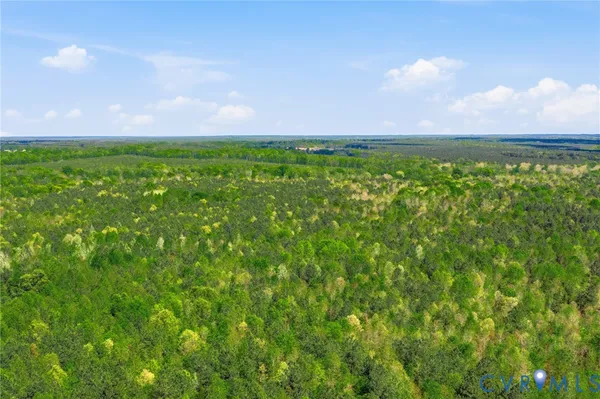 $115,000 | Lot 2 Colemans Lake Road, Ford, VA 23850
