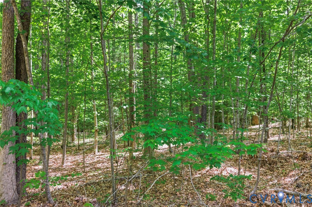 Lot 2 Colemans Lake Road Ford, VA 23850 - Photo 4 of 11 Lot 2 Colemans Lake Road